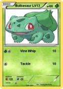 Bulbasaur LV13