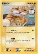 Rizz cat
