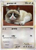grumpy cat