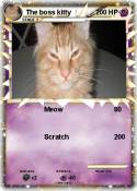 The boss kitty