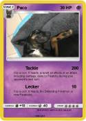 Paco