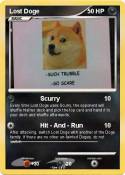 Lost Doge