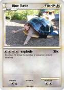 Blue Turtle