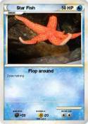 Star Fish Star Fish