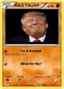 MAD TRUMP