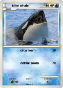 killer whale