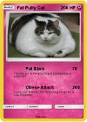 Fat Putty Cat