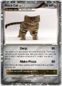 Pizza Cat