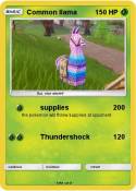 Common llama