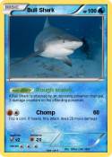 Bull Shark