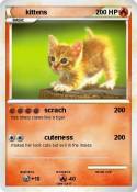 kittens