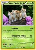 Mava Family Card Mava Family