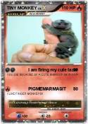 TINY MONKEY