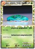 BIG GREEN TREE FROG BIG GREEN TREE