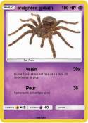 araignéee