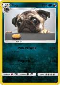 Pug