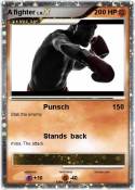 A fighter