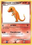 Charmander (real life) Charmander