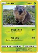 Quokka