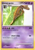crested gecko