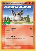 Bernard 999999999999999 Bernard