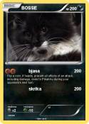 BOSSE