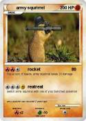 army squrirrel