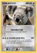 KOALA!!!!!!!!!!!!