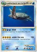 Leatherback sea