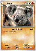 Koala
