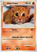 Kitten Flame