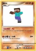 steve