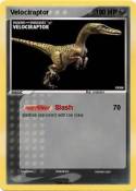 Velociraptor