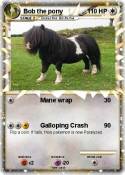 Bob the pony