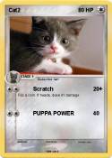 Cat2