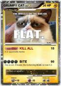 GRUMPY CAT GRUMPY CAT