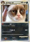 grumpy cat