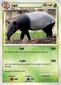 tapir tapir
