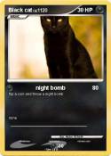 Black cat