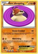 Sam sheepdog