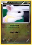 Fluffy Bunny