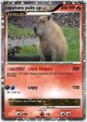 capybara pulls