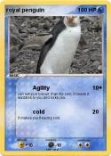royal penguin