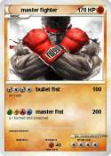 master fighter