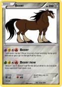 Boxer