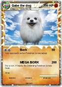 Gabe the dog