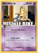 bike riding cat