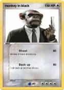 monkey in black monkey in black