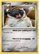 Suss pug