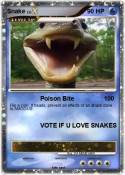 Snake